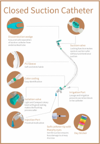 Drainage System
