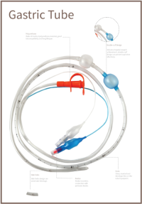Respiratory/Feeding