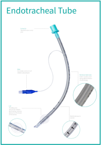 Airway Management